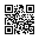 QR CODE 13793