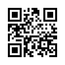 QR CODE 13993