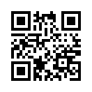 QR CODE 2393