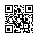 QR CODE 3133