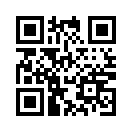 QR CODE 3231