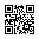 QR CODE 3239