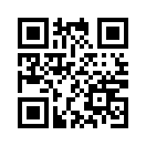 QR CODE 3343