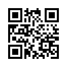 QR CODE 3379
