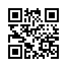 QR CODE 3419