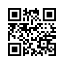 QR CODE 3481