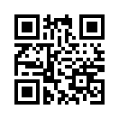 QR CODE 6295