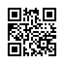 QR CODE 6528