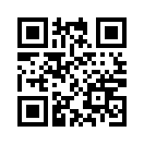 QR CODE 7533
