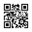QR CODE 8029