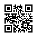 QR CODE 8229