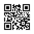 QR CODE 8295