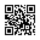 QR CODE 8667