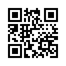 QR CODE 8881