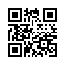 QR CODE 9017