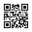 QR CODE 9113