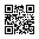 QR CODE 9173
