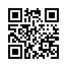 QR CODE 9233