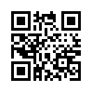QR CODE 9500