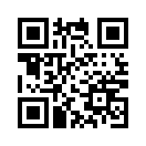 QR CODE 9535