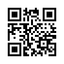 QR CODE 9585