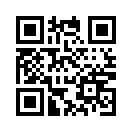 QR CODE 9991
