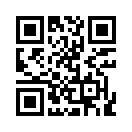 QR CODE 110