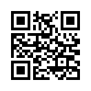 QR CODE 519