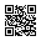 QR CODE 528