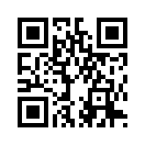 QR CODE 529