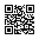 QR CODE 553
