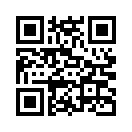 QR CODE 29