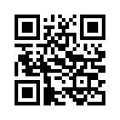 QR CODE 53
