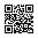 QR CODE 110