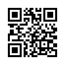 QR CODE 1238