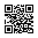 QR CODE 133