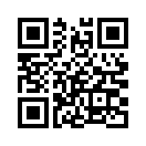 QR CODE 1337