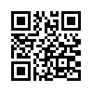 QR CODE 1381
