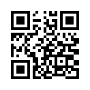 QR CODE 2313