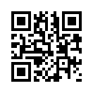 QR CODE 2393