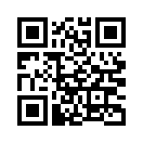 QR CODE 519