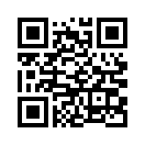 QR CODE 53