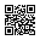 QR CODE 737