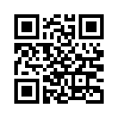 QR CODE 813