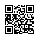 QR CODE 913