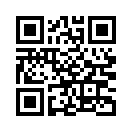 QR CODE 950