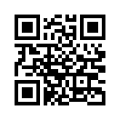 QR CODE 993