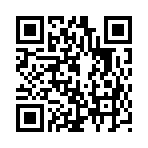 QR CODE 11