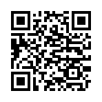 QR CODE 115