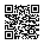 QR CODE 21